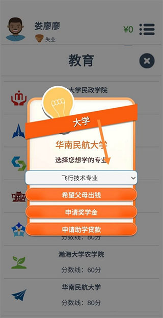 第二人生报考飞行专业界面