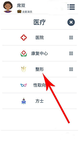 第二人生整形选项界面