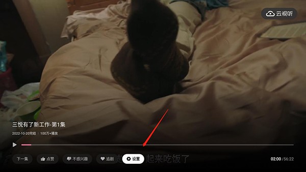 哔哩哔哩TV版播放设置菜单