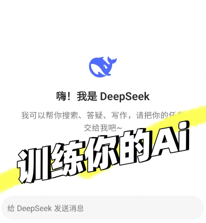 DeepSeek训练示例界面
