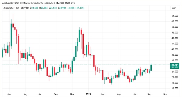 别光盯热点！这 3 个 “被低估” 的币，现在入正合适