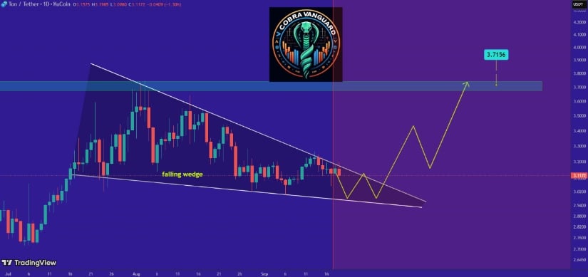 谐波走势与技术信号