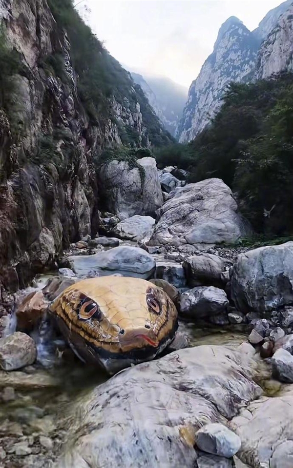 河南嵩山景区石头彩绘“巨型蛇头”已被覆盖：被指吓到人 原石已经有亿年历史