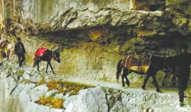 南方丝绸之路有哪些历史价值？南方丝绸之路介绍