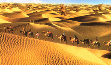 西夏时期丝绸之路的状况如何？经营的怎么样？