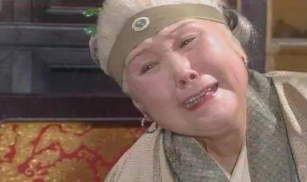 贾母，贾珍，贾赦，贾元春，贾宝玉，到底谁该背黑锅？