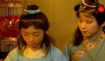 贾环也有可伶之处，那贾环的可伶之处究竟在哪？