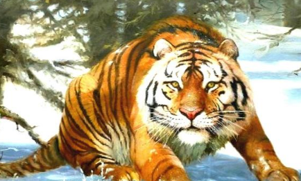 李逵杀四只老虎，为何没有武松打死老虎的含金量高？