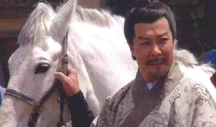 在三国演义中，除了赤兔马之外，提到的名马有哪些？