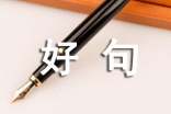【推荐】抒情的好句汇总55条