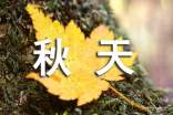 关于秋天唯美心语大全50句