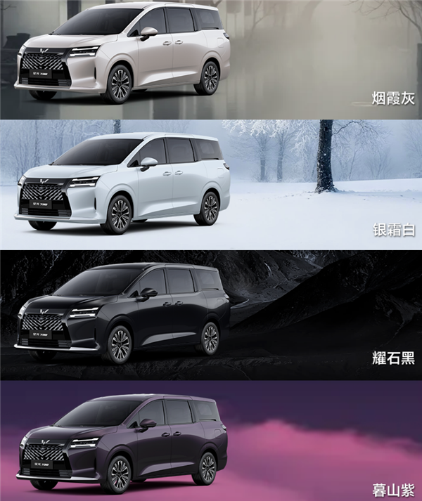 家家买得起的MPV 五菱星光730预售：同级唯一配电滑门