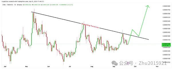 MEME 币：DOGE ETF 火了，SHIB 盼反弹