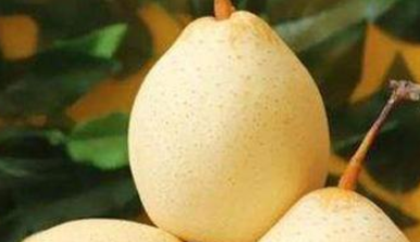 为什么老古话说“惊蛰吃了梨，一年都精神”？