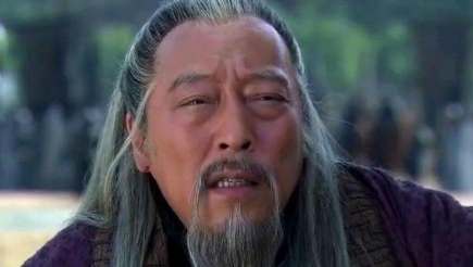 关于诸葛亮的死因，他的敌人司马懿曾做过什么总结？