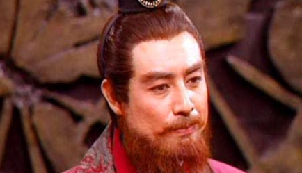 如果如同蜀汉君臣所料，刘备在夷陵之战中获胜会发生什么？