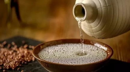 在白居易的诗句中，“绿蚁新醅酒”的“蚁”到底是指什么？