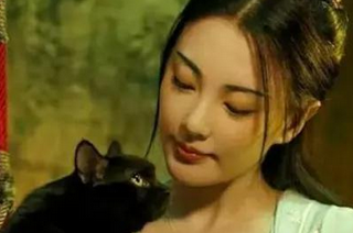 为什么古人养猫要下聘礼？详解其原因