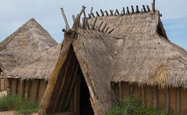 仰韶文化建筑有什么显著的特点吗？