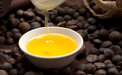 古人做菜怎么放油？古人吃的油是什么油？