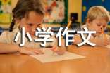 包水饺小学作文