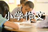 学会小学作文集合15篇