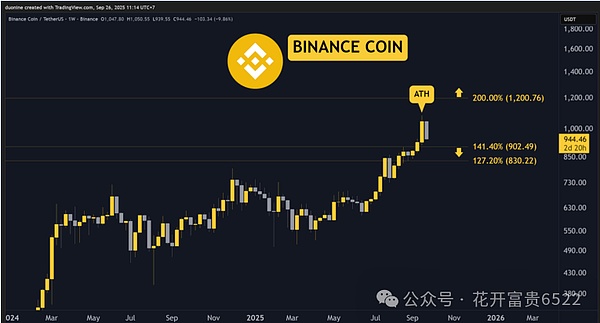 币安币（BNB）：创了新高就跌，900 美元是底线