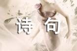 (推荐)秋的诗句15篇