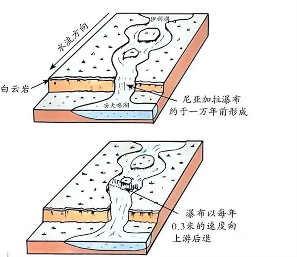 淡水鱼被冲入大海后去哪了 还能活吗