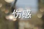 2025年实用的伤感微小说的语录合集45条
