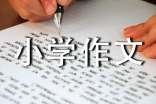 生活万花筒小学作文(8篇)