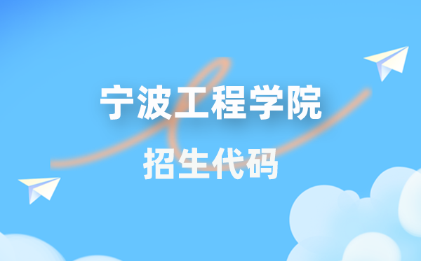 宁波工程学院招生代码是多少？附专业代码对照表(2026年参考)