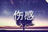 2025年实用的非主流伤感语录汇总80句