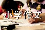 我们小学作文精选15篇