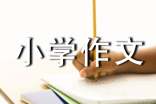 我的乐园小学作文15篇
