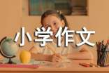 小学作文(9篇)