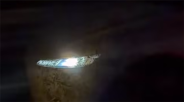 大量简配 定价39990美元!“廉价版”特斯拉Model Y现身官网源代码