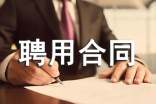 业务员聘用合同精选[15篇]