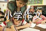 精选我们小学作文300字三篇
