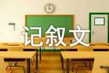 记叙文作文[优秀8篇]
