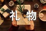 [精品]妈妈的礼物作文300字7篇