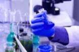 化学教学总结模板集合7篇