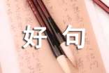 2025年精选抒情的好句集合58条