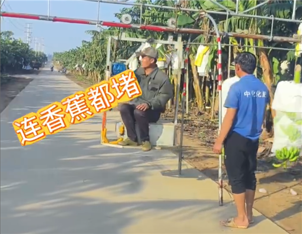 堵船堵骆驼堵香蕉 双节长假堵的已经不只是车了