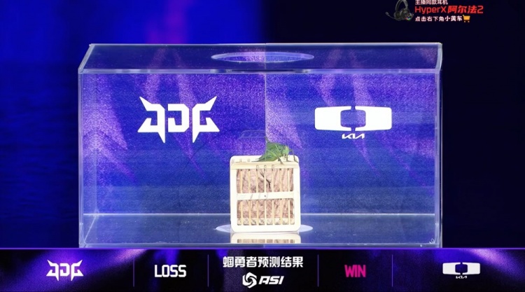ASI赛事现场：蝈蝈预测DK将战胜JDG！