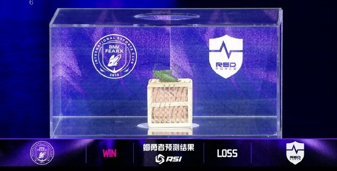 ASI赛事现场：蝈蝈预测BFX将战胜NS！