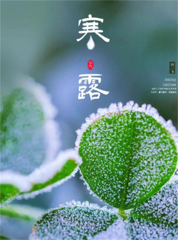 蚂蚁庄园10月8日今日答案2025