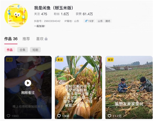 大学生国庆8天假掰了7天半玉米：自己多弯一次腰父母就少吃一点苦