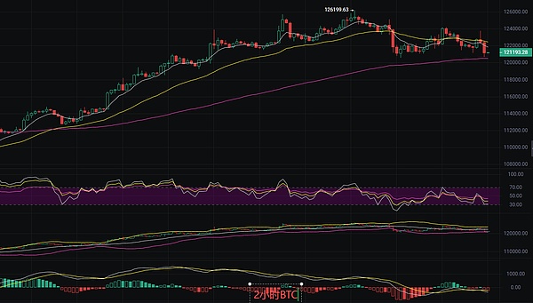 币圈丽盈：10.10比特币最新行情分析