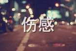 2025年简洁的伤感个性签名锦集89句